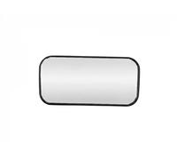FAST FT88623 Wing mirror glass