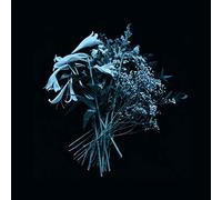 Mirror of Haze - The End Is the Beginning