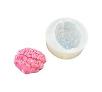 Mirror Polished Silicone Brain Molds Smooth Surface For Science Projects. Educational Anatomy Professional Jewelry Making Silicone