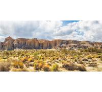 MIRRORANG 120x46cm Reptile Habitat Background Blue Sky Mountain Oasis Cactus Sun and Desert Terrarium Background Durable Vinyl Background