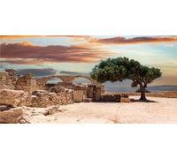 MIRRORANG 120x46cm Reptile Habitat Background Sky Oasis Mountain Desert Trees Sky Terrarium Background