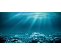 MIRRORANG 120x46cm Undersea Theme Aquarium Background Sunshine Underwater World Fish Tank Poster Backdrop Vinyl Background