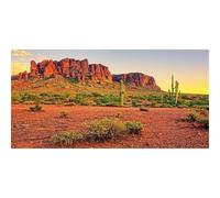 MIRRORANG 120x50cm Reptile Habitat Background Sky Oasis Mountain Cactus Sun and Desert Terrarium Background Durable Vinyl Background