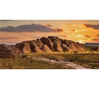 MIRRORANG 120x50cm Reptile Habitat Terrarium Background Sunset Oasis Mountain Sun and Desert Terrarium Background