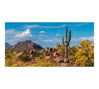 MIRRORANG 120x50cm Terrarium Background Mountain Rock Joshua Tree Blue Sky Huge Cactus Oasis Desert Gobi Reptile Habitat Background Vinyl Background