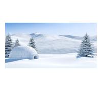 MIRRORANG 120x50cm Winter Aquarium Background Fir Forest Snow Mountain Igloo World of Ice and Snow Christmas New Year Fish Tank Background Vinyl Background