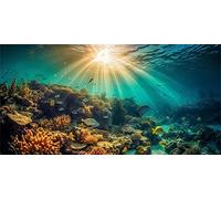 MIRRORANG 120x61cm Undersea Theme Fish Tank Aquarium Background Sunshine Coral Reef Underwater World Fish Tank Poster Backdrop