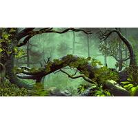 MIRRORANG 180x61cm Foggy Forest Terrarium Background Stone Green Tree Tropical Reptile Habitat Background Rainforest Aquarium Background Vinyl Background