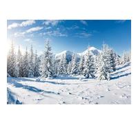 MIRRORANG 2,2x1,5m Christmas Wall Art Winter Forest Landscape Backdrop Outdoor Snow Scene Pine Tree Frozen Wall Decor Background for Photography Xmas Photo Backdrop, Vinyl