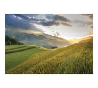 MIRRORANG 2,5x1,8m Natural Landscape Backdrop Forest Mountain View Meadow Countryside Photography Background Rural Life Vacation Tourism Photo Studio Props Wallpaper, Vinyl