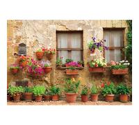 MIRRORANG 3x2,5m Italian Tuscan Street Backdrop Old Wall Flower Plant Medieval Village Town Photography Background Anniversary Party Decoration Photo Studio Props Supplies, Vinyl