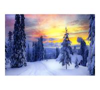 MIRRORANG 3x2m Winter Snow Backdrop Snow Scenery Snowy Frozen Forest Landscape Pine Tree Sunrise Photography Background for Merry Christmas Eve Happy New Year Party Baby Shower Props