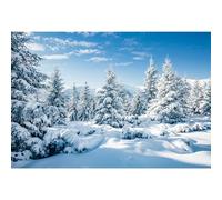 MIRRORANG 4,2x3m Winter Forest Backdrop Outdoor Snow Scene Pine Tree Sky Outdoor Party Frozen Poster Christmas Backdrops for Photoshoot New Year Party Decor Photo Studio Prop, Vinyl