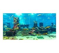 MIRRORANG 61x30cm Undersea Theme Aquarium Background Colorful Coral Tropical Fish Ruins Underwater World Fish Tank Poster Backdrop Vinyl