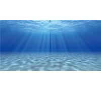 MIRRORANG 61x30cm Undersea Theme Aquarium Background Sunshine Underwater World Fish Tank Decoration Backdrop Vinyl Background