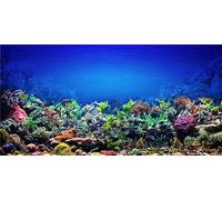 MIRRORANG 61x41cm Aquarium Background Coral Underwater World Fish Tank Poster Backdrop Vinyl Background