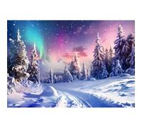 MIRRORANG 6x3m Aurora Borealis Night Sky Backdrop Road Ice Forest Starry Sky Polar Lights Norway Photography Background for Merry Christmas Eve Happy New Year Party Baby Shower Props