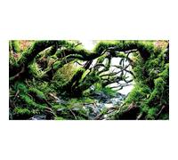 MIRRORANG 76x30cm Branches Fish Tank Background Green Algae Aquarium Background River Bed & Lake Aquarium Background Vinyl Background