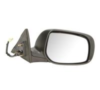 Mirrors BLIC 5402-04-1122951P for TOYOTA