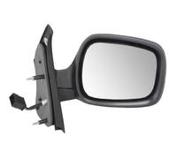 Mirrors BLIC 5402-04-1131221P for RENAULT