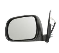 Mirrors BLIC 5402-04-9923931P for TOYOTA