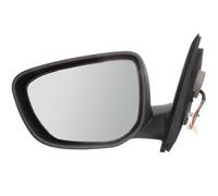 BLIC 5402-21-044333P Wing mirror