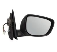 BLIC 5402-21-044364P Wing mirror