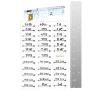 Mirrors Growth Chart for Wall | Self-Adhesive Acrylic Growth Chart Mirror Wall Height Adjustable Growth Chart Wall Ruler Portable Height Measurement Record Ruler, for Tracking Kids Growth