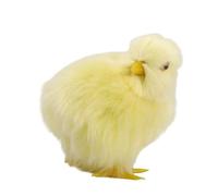 Mirweon Child Easter Plush Toy For Festival Home Decors Educational Model Chicken Stuffed Animals For Children Room Decors