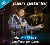 MIS 40 En Bellas Artes