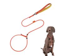 Misaakoeq Dog Walking Lead, 59in Escape-proof Medium Dog Neck Slip Harness, Pet Traction Neck Strap Adjustable 360-Degree Anti-Knot Rotation