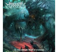 Misanthropy – The Ever-Crushing Weight Of Stagnance