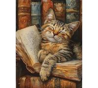 MISCER Cat with Book Diamond Painting Kits for Adults, 5D Full Drill Round Gem Art Kit for Beginners, DIY Cosy Library Arts and Crafts for Home Wall Decoration, 30x40cm