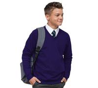 Mischief Ages 3-18 Boys Girls Unisex Unisex School Sweater V Neck Fleece Sweatshirt Uniform + Adult Sizes Purple