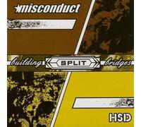 Misconduct / HSD - Building Bridges