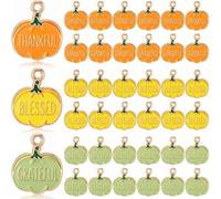 Misdary 60 Pcs Pumpkin Charms for Jewelry Making Grateful Thankful Blessed Fall Assorted Charms Metal Alloy Jewelry Pendants for DIY Earring Bracelet Necklace Keychain Craft Ornaments Holiday Supplies