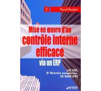 Mise en oeuvre d'un contrôle interne efficace via un ERP: LSF, SOX, 8e Directive européenne, US GAAP, IFRS