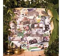 MISE EN SCENE - STILL LIFE ON FIRE LP - Vinyl Record - J3z