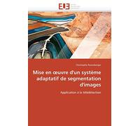 Mise en œuvre d'un système adaptatif de segmentation d'images: Application à la télédétection (Omn.Univ.Europ.)