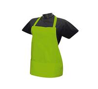 MISEMIYA - Women's Apron with Bib Apron for Home Cleaning Fruit Sink Sumiller Wine Maitre - Ref.865 - Green, Pack of 1