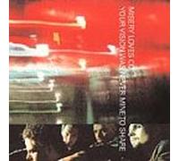 Misery Loves Company - Your Vision Was Never Mine To Share