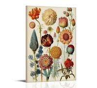 MiSkyn Ernst Haeckel Painter Works《Vintage Botanical Illustration》Poster Wall Art Gifts Bedroom Prints Home Decor Hanging Picture Canvas Paintings 16x24inch(40x60cm)