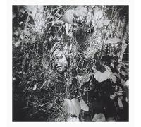 Mislock Tim - Now Is The Last Best Time [VINYL]