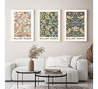 Mislojade William Morris Wall Art Canvas Strawberry Thief Poster Botanical Flower Pattern Vintage Botanical Flower Nature Wilderness Oil Painting Impressionism Artwork Set of 3 Unframed 16x24 inches