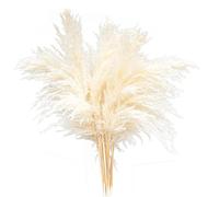 MISNODE 5 Pcs Dried Pampas Grass Decor, 17 Inch Artificial Pampas Grass, Extra Large Artificial Pompous Grass Branches, Reed Grass Bouquet Home Decor, White
