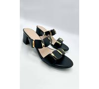 Miss Diva Kolee Stud Detail Block Heel Mules In Black Black