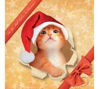 Miss Kater - Do You Still Believe In Christmas