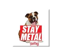 Miss May I Dog Fridge Magnet in White Miss May I White