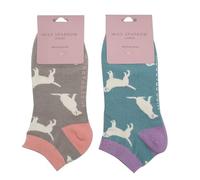 MISS SPARROW 2 Pairs Labrador Dog Trainer Socks Super Soft Breathable Bamboo Blend Grey Blue Size 4 to 7