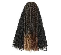 Miss Sula 20 Inch 8 Packs Pre Welded Braids Mixed Color 6 Packs 1B + 1 Pack T1B/27 + 1 Pack T1B/30 Passion Crochet Hair Braiding Hair Long Pre Braid